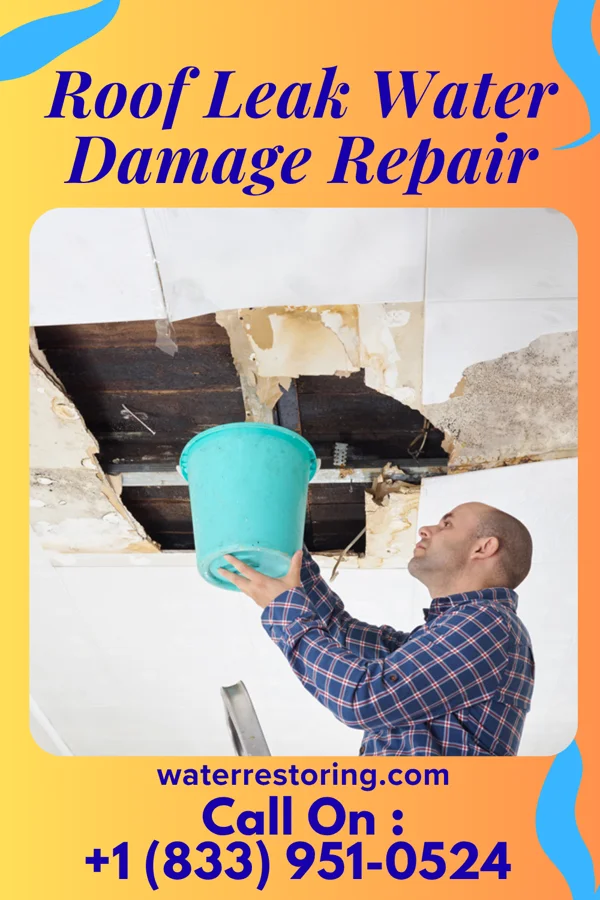 Roof Leak Water Damage Repair in Emory, TX
